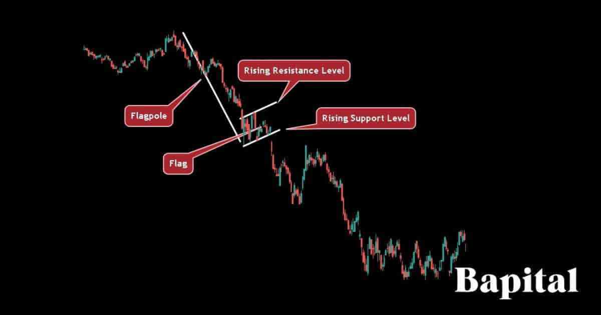 Bear flag components