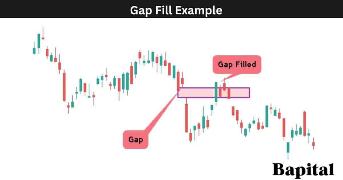 Gap Fill Example